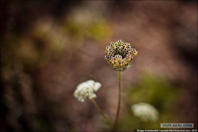 Заброшенный флюсовый карьер в Балаклаве