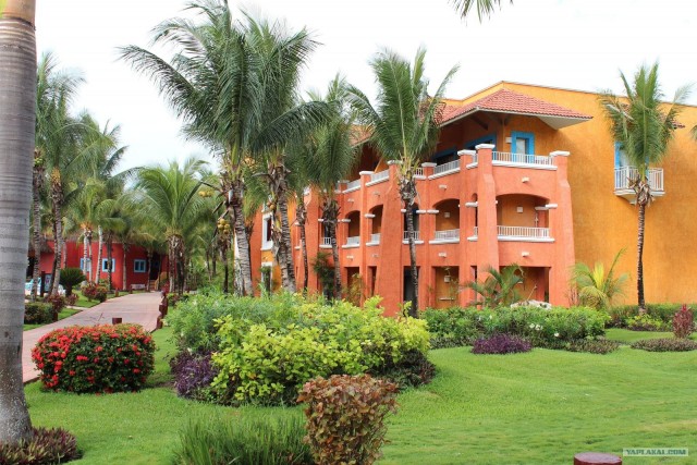 Поездка в Мексику (за деньги)