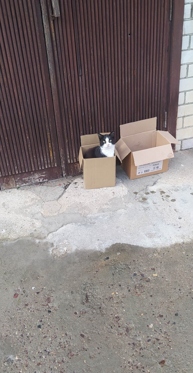Пришел сегодня вот такой милаха!