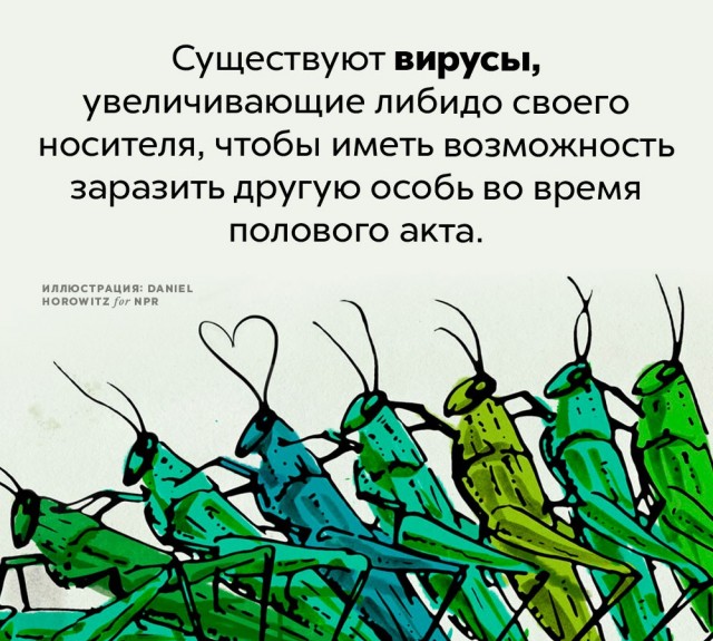 Подборка бесполезных,но интересных фактов.