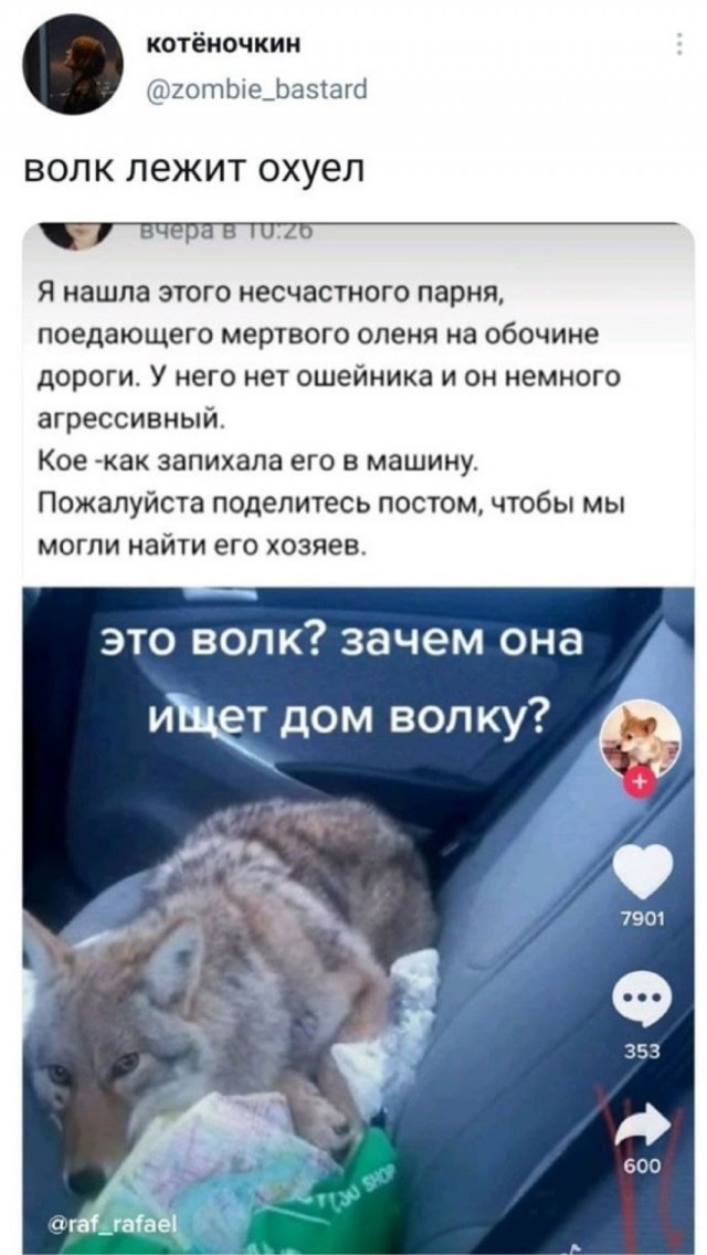 "Главное не ложиться на краю"