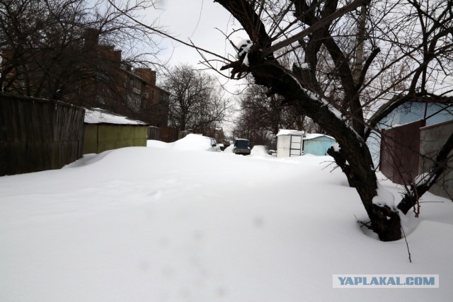 23 марта. Киев. Весна.