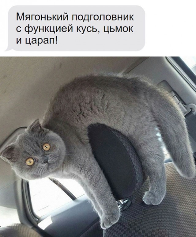 Картинки и мемы, всяко разно - 179