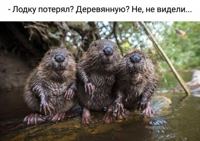 Нуштош 18.05.2023