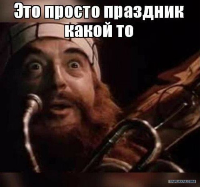 Партию гашиша на 2 МИЛЛИАРДА рублей изъяли у контрабандистов в Ленобласти