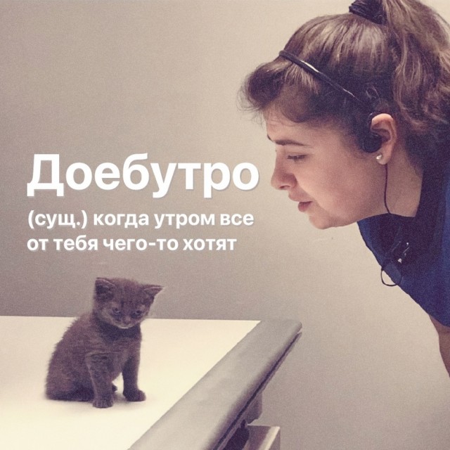 Весёлый полтишок 26.10.23
