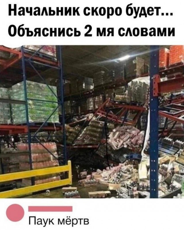 Нуштош 29.12.2023