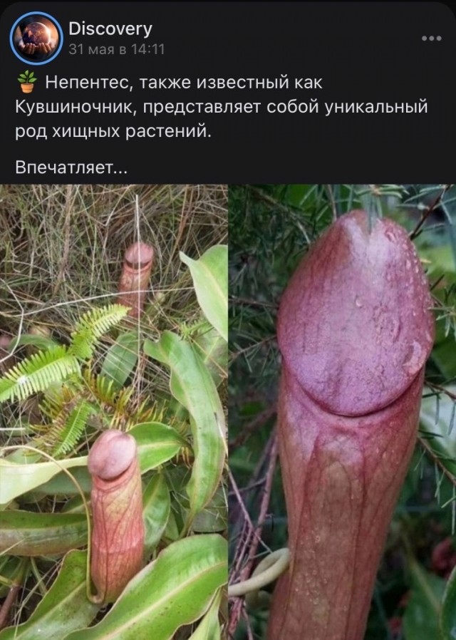 Так себе картинки 08.06.24