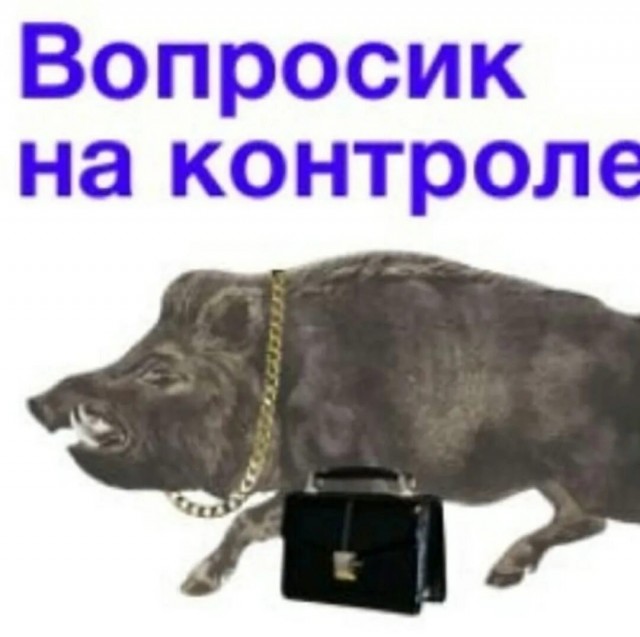 «Коллегушки» и «услышимся» — россияне назвали самые раздражающие фразы на работе