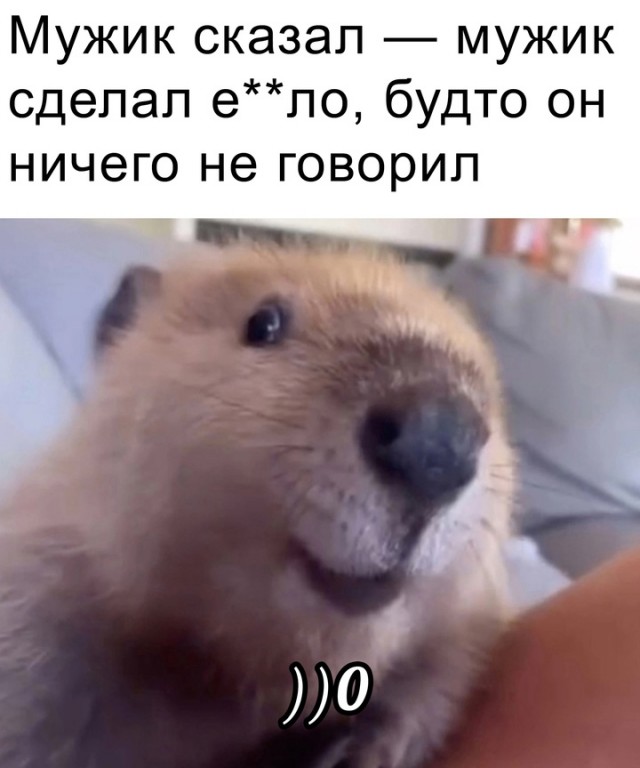 Весёлый полтишок 27.09.24