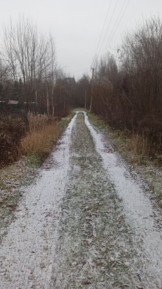 Ну вот и началась...