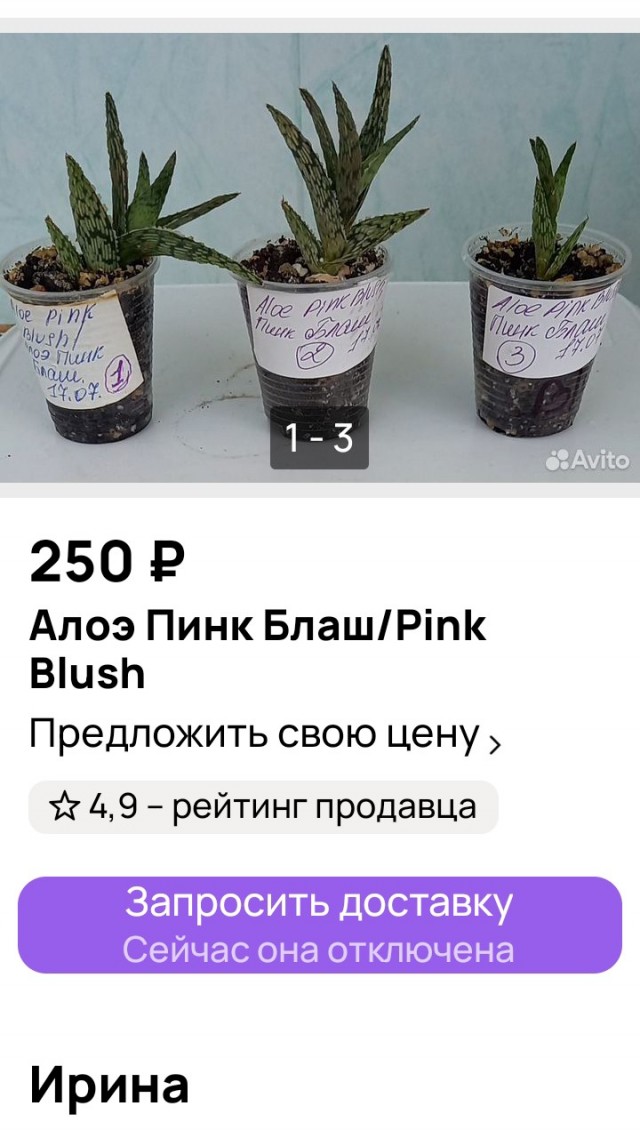 НГ и сколько стоят артисты