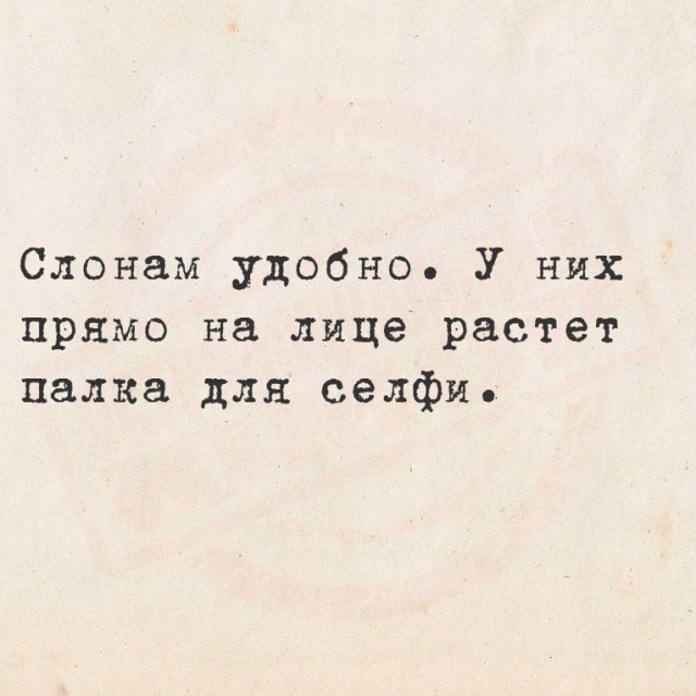 Нуштош 07.01.2025. Межпраздничный спецвыпуск