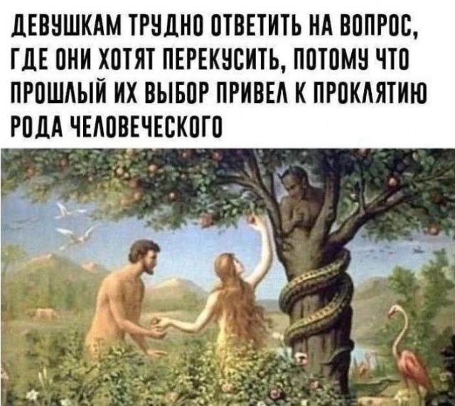 Прикольные и просто красивые картинки 10.01.2025