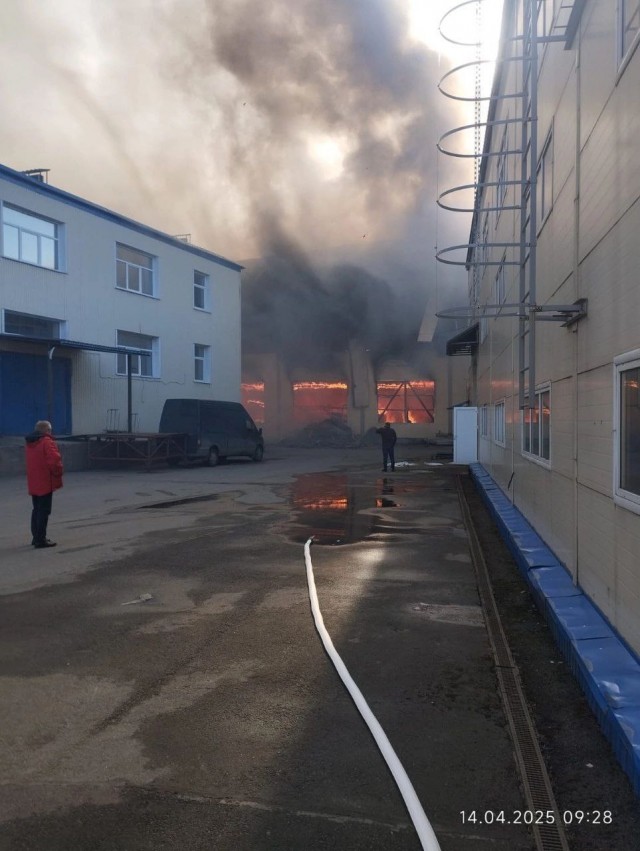 На севере Петербурга произошёл крупный пожар