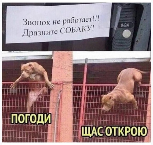 Десятка фото