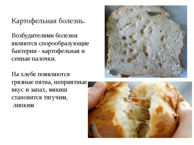 Этично ли выбрасывать еду