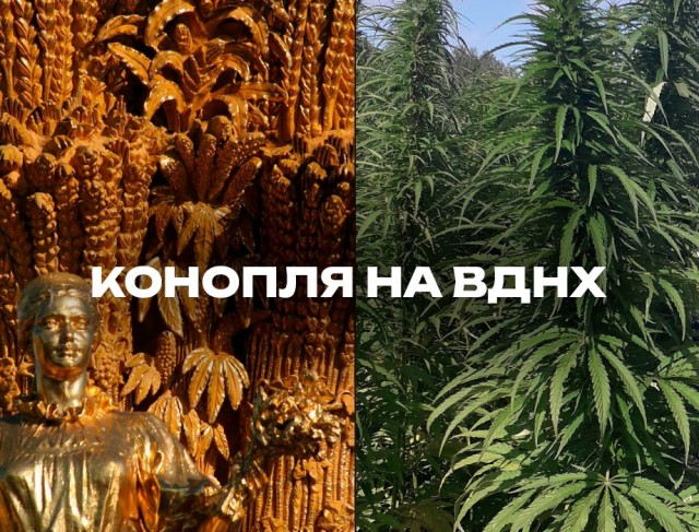 Прикольные и просто красивые картинки 10.06.2025