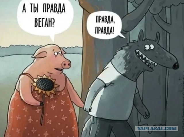 Вот это поворот!