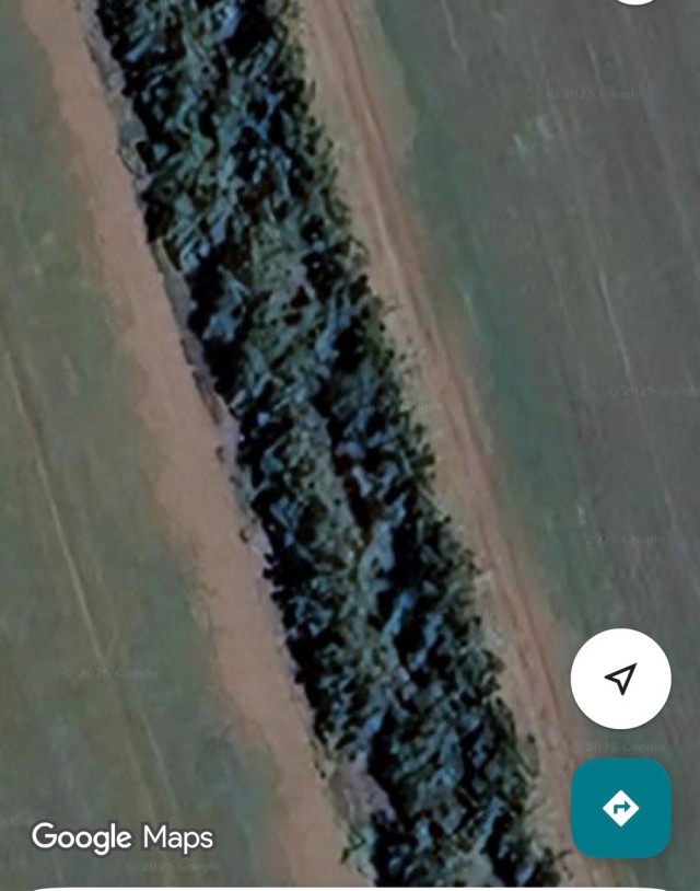 Дело Усольцевых: ставим точку