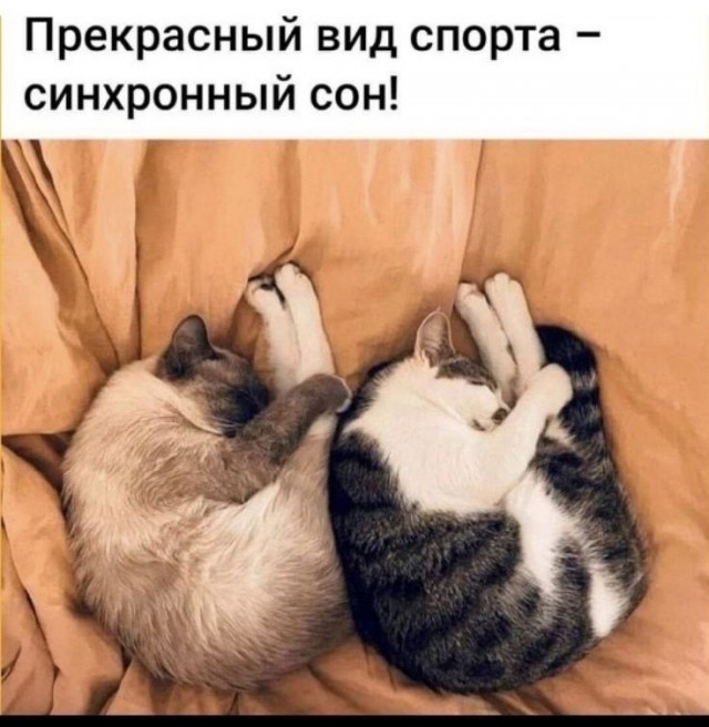 Вторник . Немного картинок