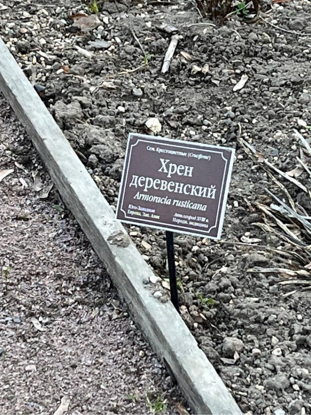 Кто ты сегодня?