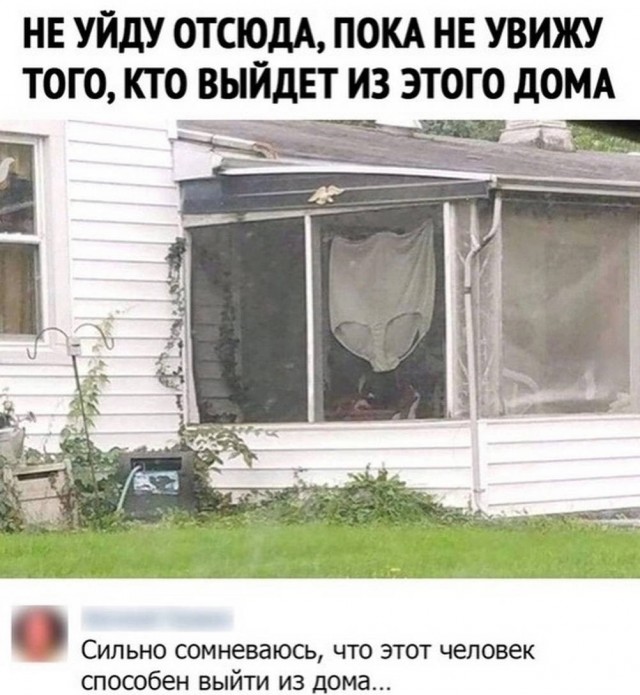Картиночки, баянчики 08 июля