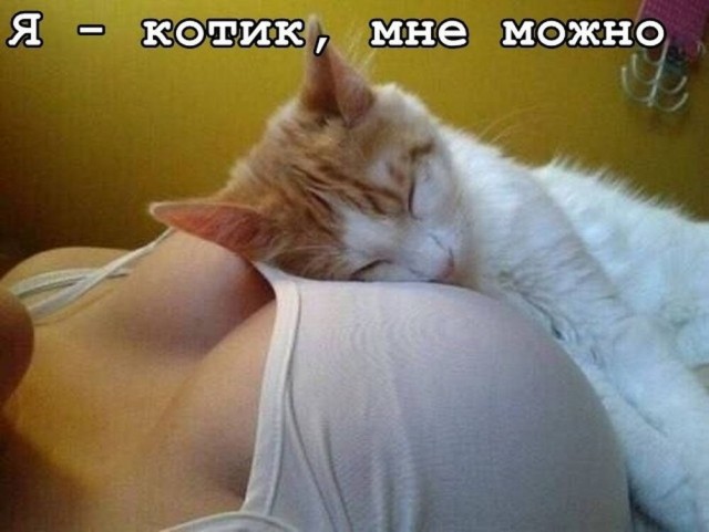 Веселые картинки в пятницу (21.08)