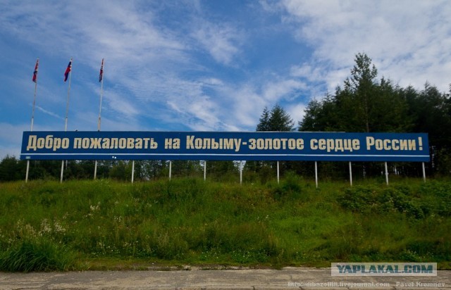 Какие места сейчас на сайте онлайн?