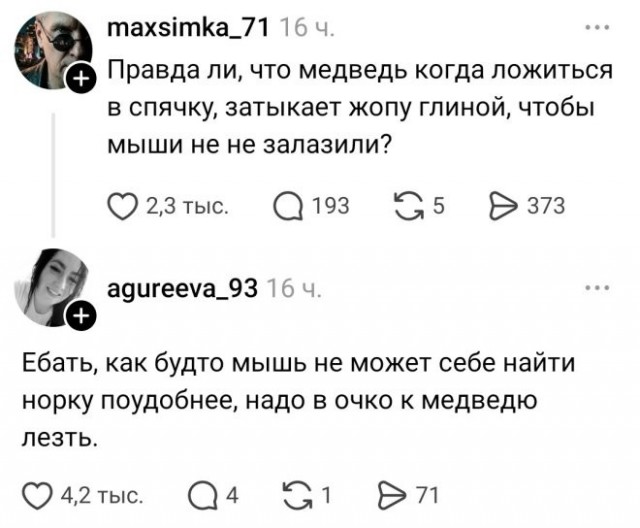 Мыши и медведи