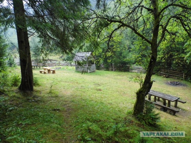 В Карпатах