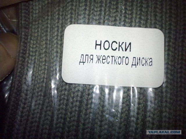 Что мы видим вокруг себя
