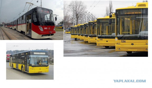 Петербург купил львовские трамваи.