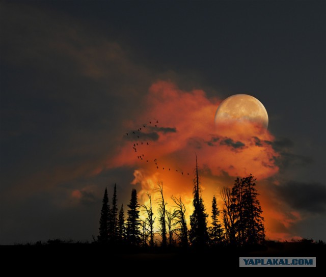 28 самых удачных кадров февраля