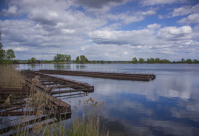 Рыбная ферма в Чернобыле