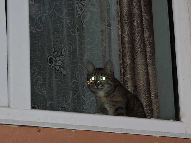 Тверь. дофига НЛО в ночном небе.