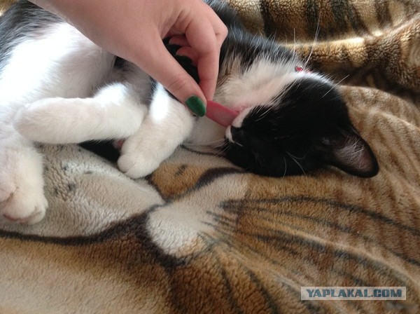 Не удержалась