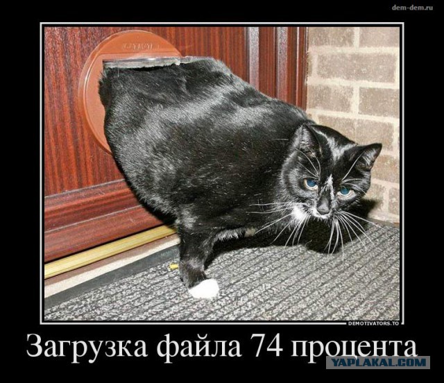 Немного позитива на пятницу