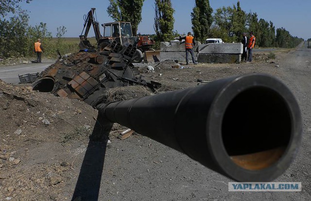 Полгода войны в Украине