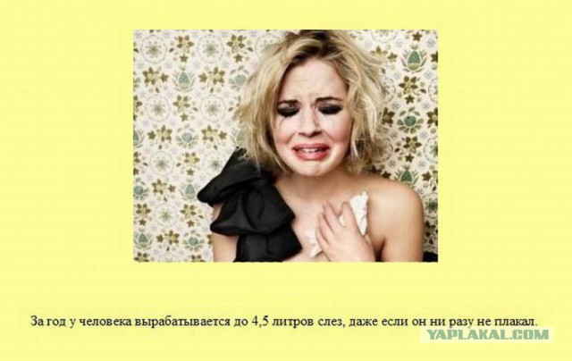 20 фактов обо всем
