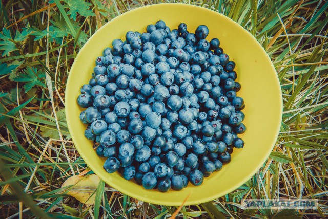К заповедным озерам и долинам Архыза