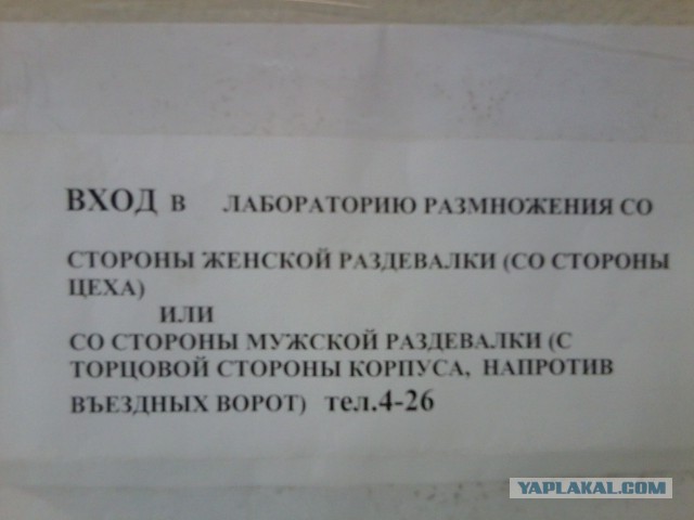 Зашел в копировальный центр