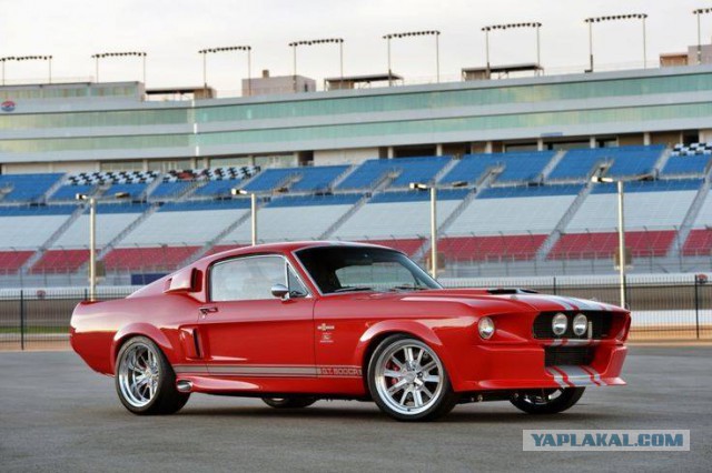 Muscle cars. История сумасшествия