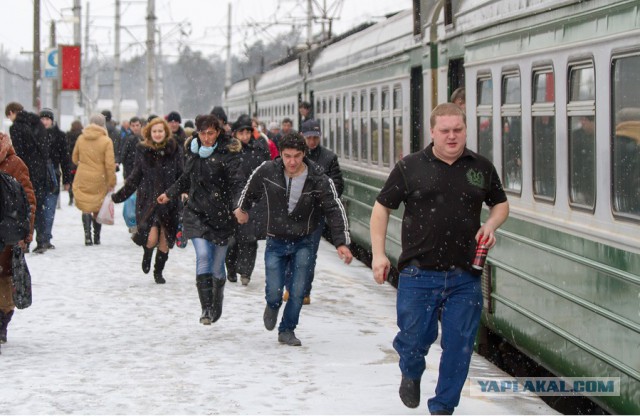 Зайцы в электричках