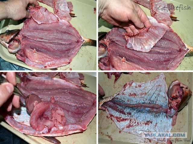 По следам прославленных кулинаров, День повара – 20 октября.