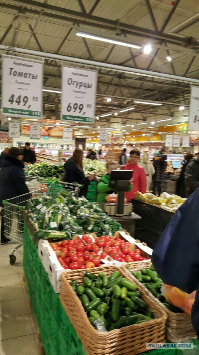 То ли санкции, то ли нам хана
