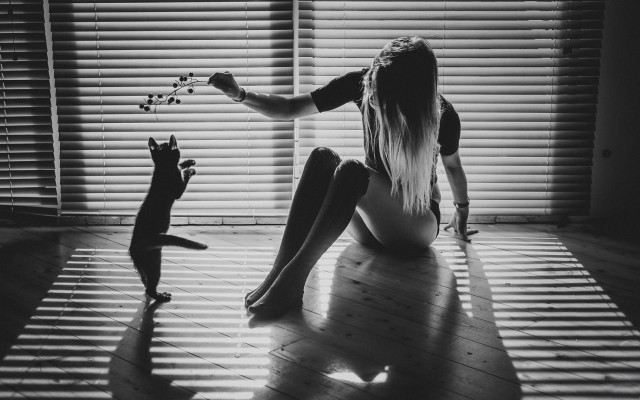 Картинки на рабочий стол