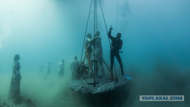 Самые красивые и необычные вещи, которые можно встретить под водой