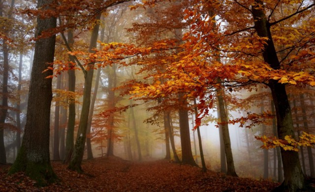 Подборка красивых фото