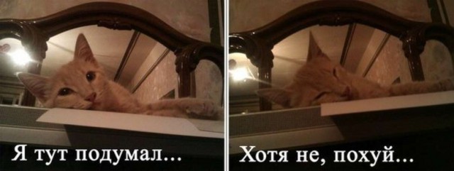 Украинские военнослужащие жалуются на то, что американских солдат в Украине кормят лучше